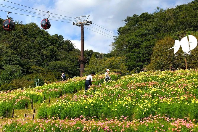 1-Day Kobe Highlights Tour including Sake Tasting - Ikuta Shrine and Kobe’s local identity