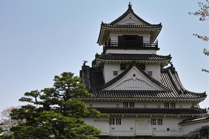 1-Day Kochi Highlights Tour with local guide - Who will get the most from this tour