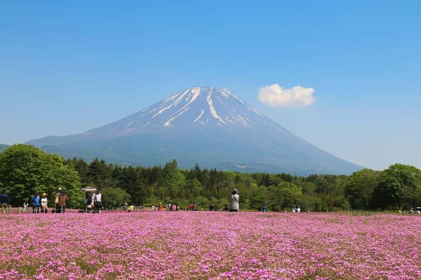 1-Day Mt Fuji and Hakone Sightseeing trip from Tokyo - Oishi Park mixes flowers, shopping, and Fuji views