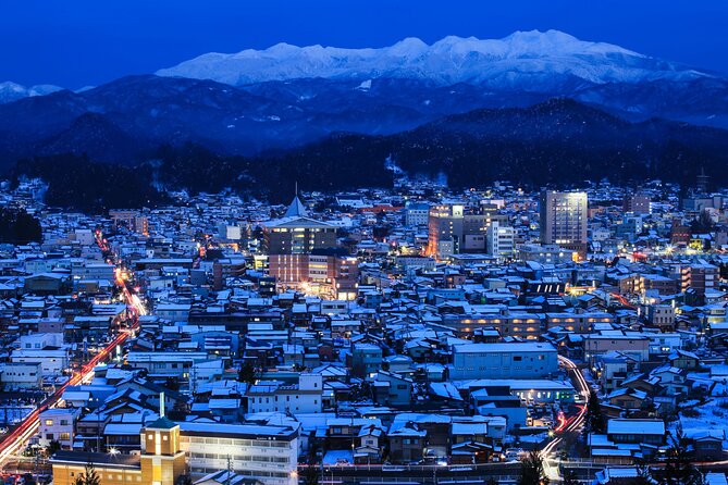 1 Day Private Charter Tour to Shirakawa-go & Takayama - The driver makes or breaks the day
