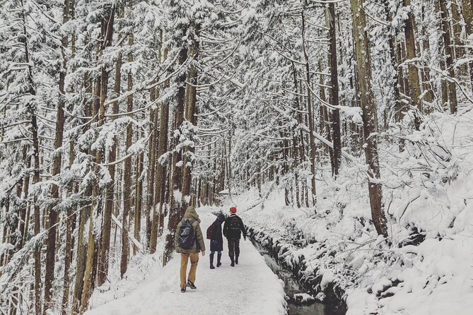 1-Day Snow Monkeys, Zenko-ji Temple & Sake in Nagano - What $151.88 buys you