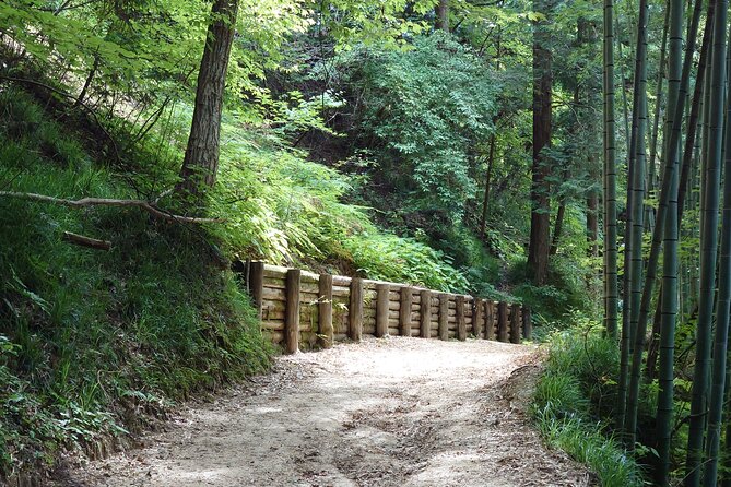 1-Day Tour from Matsumoto: Walk the Nakasendo Trail - The price and what you get for $211.37