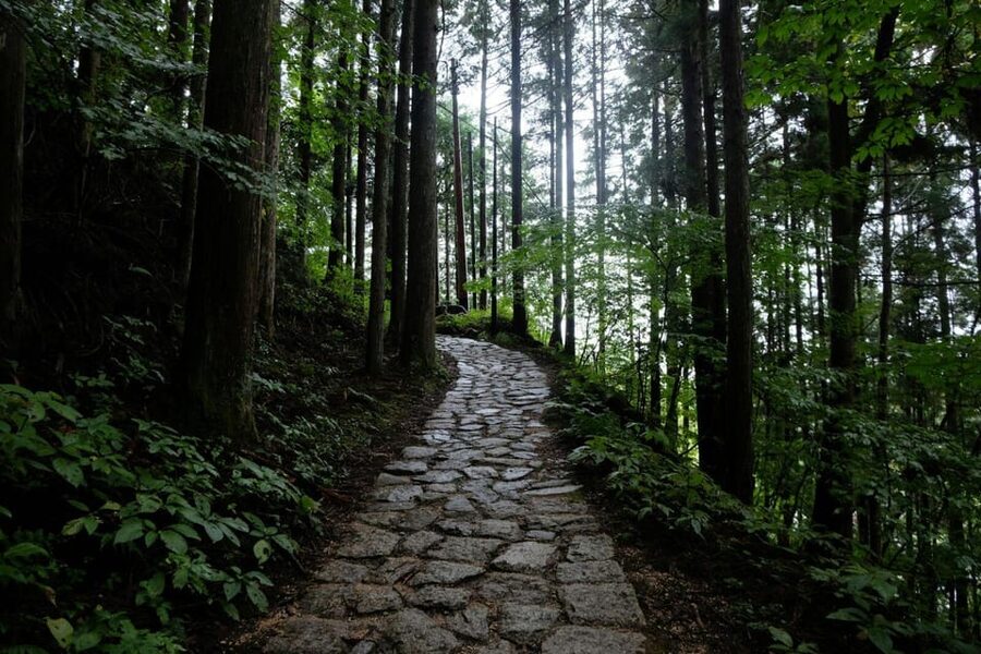 1-Day Tour from Nagoya: Hiking the Historic Nakasendo Trail - Meeting at Nagoya Station Without Losing Your Start