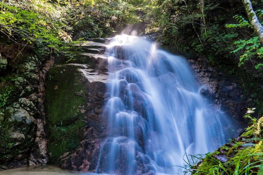 1-Day Tour from Nagoya: Hiking the Historic Nakasendo Trail - What the Guide Adds to the Walk