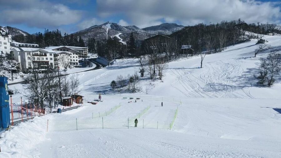 1 Day Tour: Snow Monkeys & Snow Fun in Shiga Kogen - Who will enjoy this tour most?