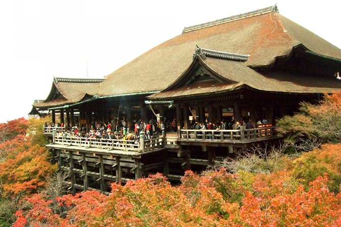 10 Must-see Spots in Kyoto One Day Private Tour (up to 7 people) - Fushimi Inari is the day’s most memorable walk