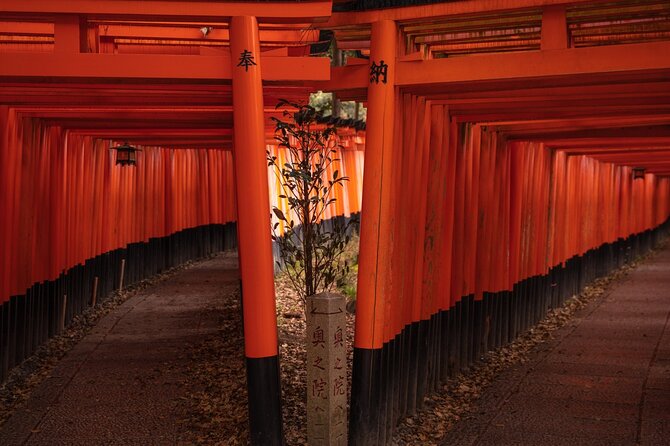 10 Must-see Spots in Kyoto One Day Private Tour (up to 7 people) - Gion finishes the day in old Kyoto