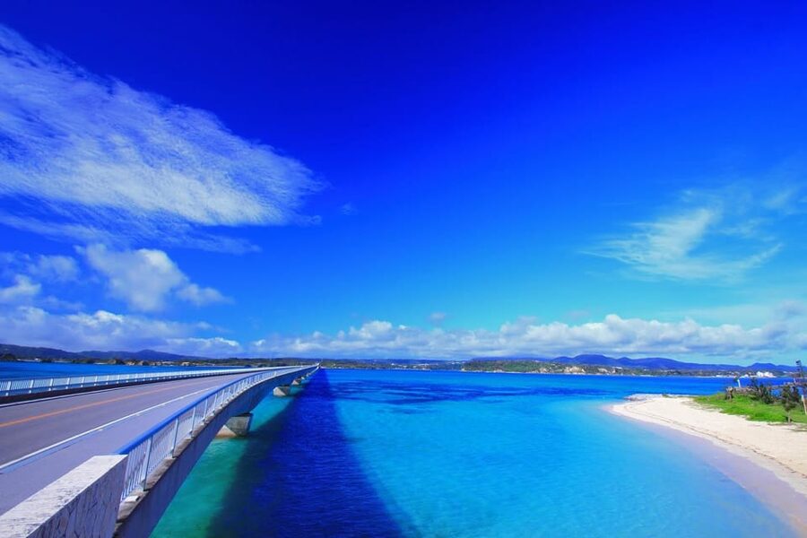 <1Dya Tour>Churaumi Aquarium, Cape Manzamo, American Village - Key points to know before booking