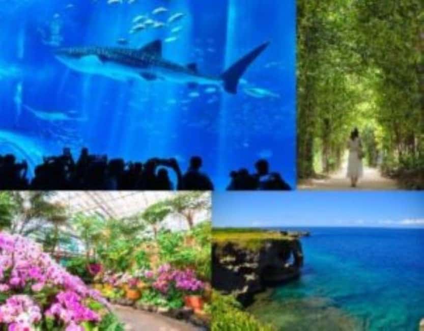 <1Dya Tour>Churaumi Aquarium, Cape Manzamo, American Village - Cape Manzamo: 30 minutes above the sea