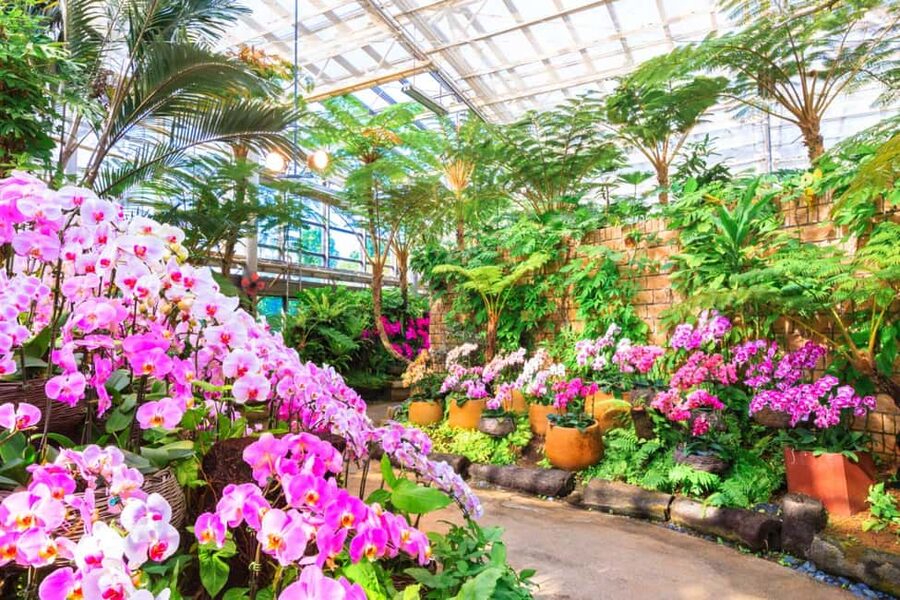 <1Dya Tour>Churaumi Aquarium, Cape Manzamo, American Village - Ocean Expo Park gives you the day’s main event