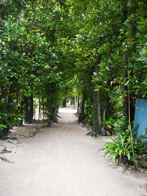 <1Dya Tour>Churaumi Aquarium, Cape Manzamo, American Village - Is $61 good value?