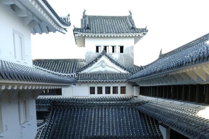 2.5 Hour Private History and Culture Tour in Himeji Castle - The top floor and Himeji views