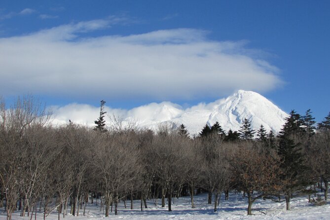 3.5hours Primeval Forest Snowshoe hike and Wildlife Watching Tour - Following the animal paths into Shiretoko forest
