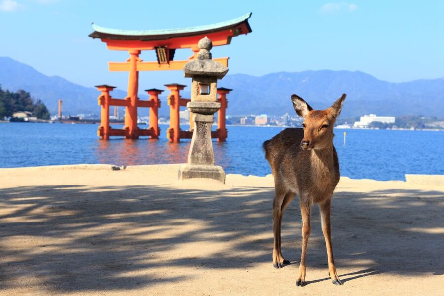 3 Departures: Hiroshima & Miyajima Trip with Indian Lunch - Choosing Your Departure City