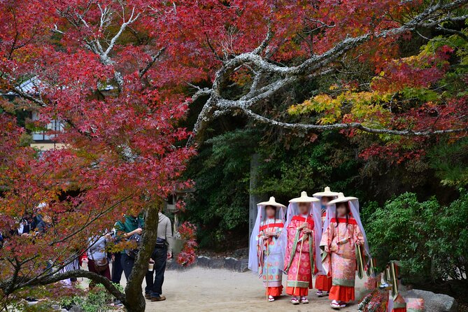 4 Hour Miyajima PRIVATE Tour - Omotesando for oysters, sweets, and souvenirs