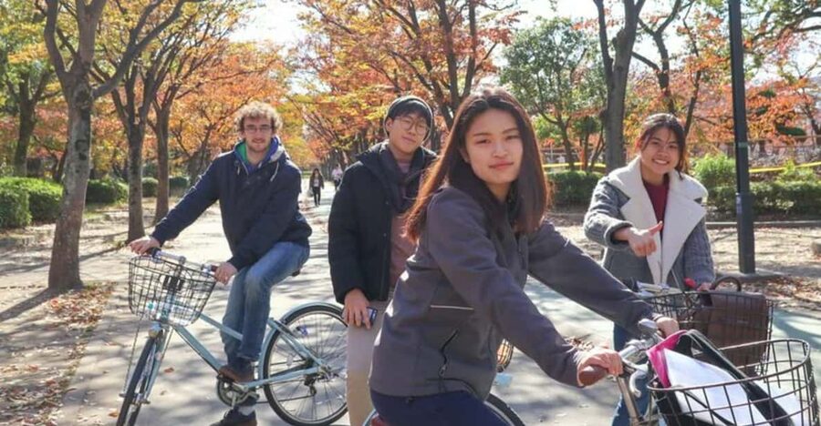5-Hour Osaka Highlights Bike Tour with Lunch - Matcha and a quiet finish