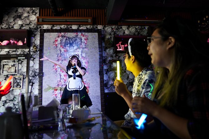 Akihabara Anime & Game Adventure Walking Tour (Group or Private) - Akiba Cultures Zone and the crowded shop floors