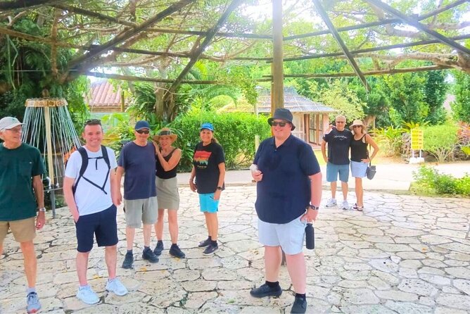 All-Inclusive Ishigaki Island Shore Excursion with English Guide - Yaima Village: a useful start with island context