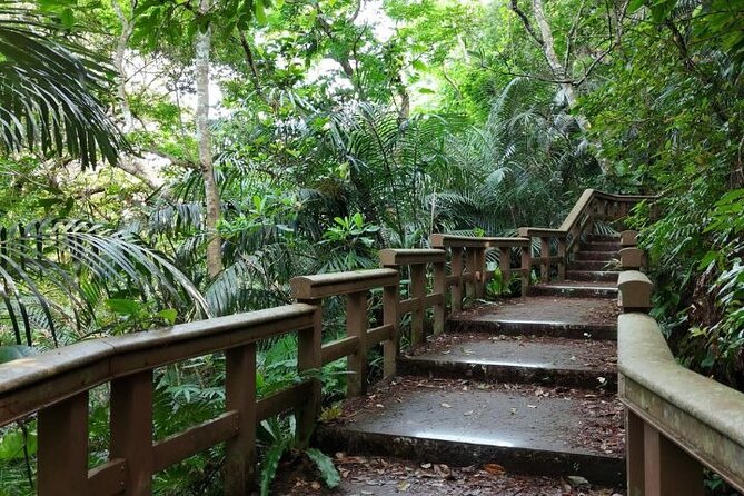 All-Inclusive Ishigaki Island Shore Excursion with English Guide - Yonehara Beach: a short look at the shallows