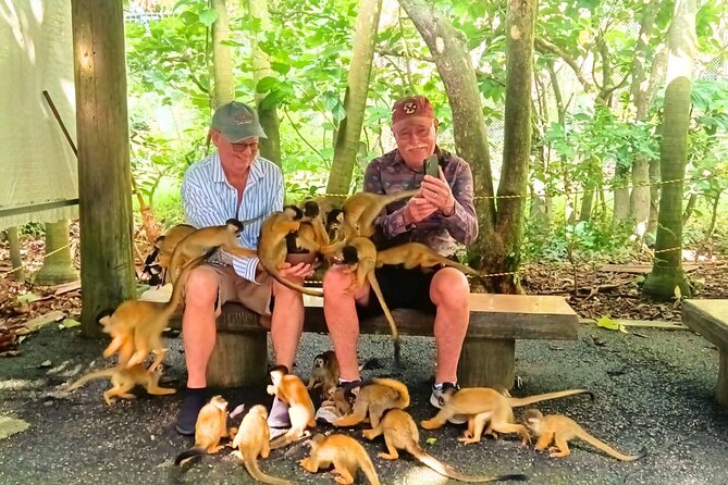 All-Inclusive Ishigaki Island Shore Excursion with English Guide - Lunch, drinks, and the small details that matter