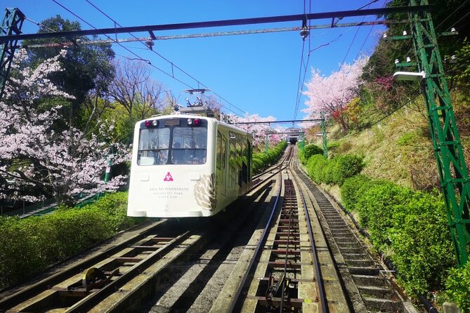 Amanohashidate & Miyama 1-Day Bus Tour: From Osaka/Kyoto w/ Lunch - The Amanohashidate cruise and its seagull audience