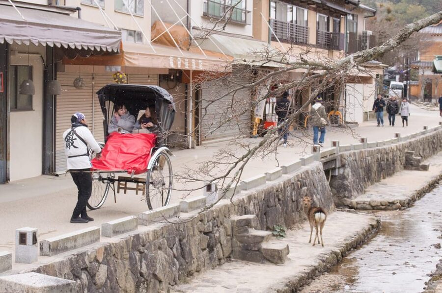 Amazing Hiroshima: Private City Tour with a Local Guide - Crossing to Miyajima by tram and ferry