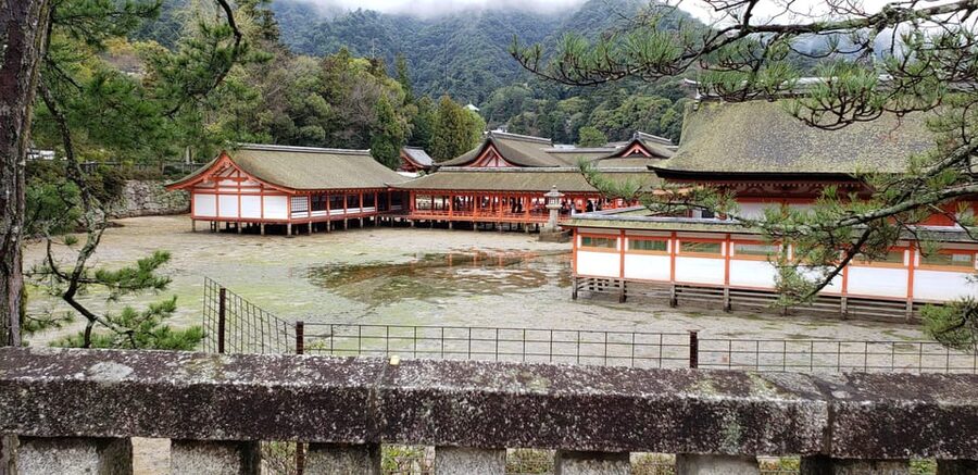 Amazing Hiroshima: Private City Tour with a Local Guide - Adding Daisho-in Temple or Mount Misen