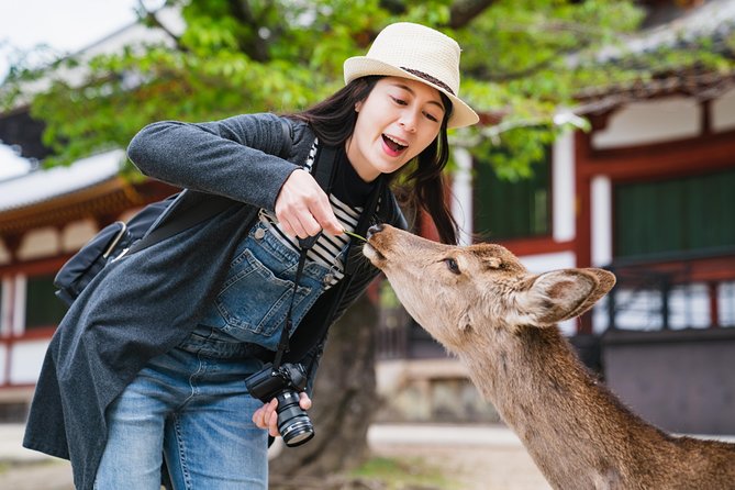 Ancient Capital Tour: Kyoto and Nara Highlights from Kyoto/Osaka - Key points at a glance