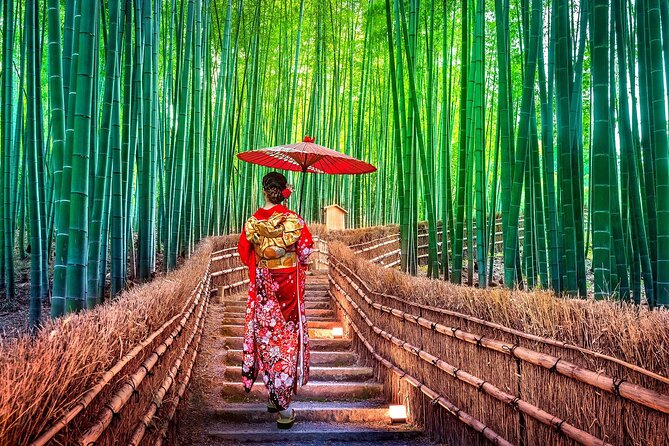 Ancient Capital Tour: Kyoto and Nara Highlights from Kyoto/Osaka - Nara Park changes the pace