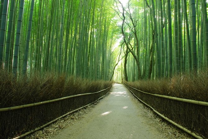Ancient Capital Tour: Kyoto and Nara Highlights from Kyoto/Osaka - Timing is the main concern