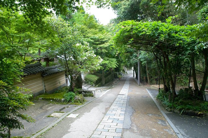 Arashiyama Bamboo Forest E-Biking Tour - Why this bike tour covers Kyoto so well