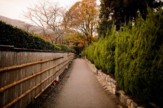 Arashiyama Bamboo Forest E-Biking Tour - The bamboo grove, with crowds and a short walking visit