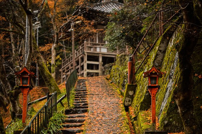 Arashiyama Bamboo Forest E-Biking Tour - Electric bikes, hills, weather, and comfort