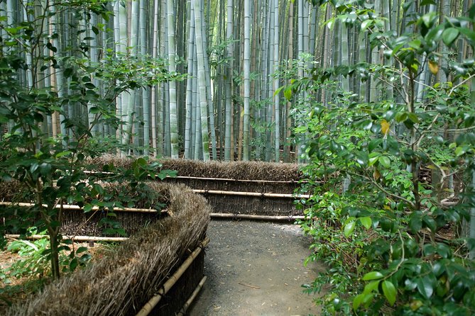 Arashiyama Bamboo Forest E-Biking Tour - Otagi Nenbutsu-ji and its 1,200 expressive figures