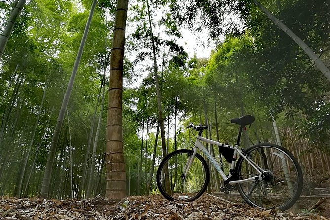 Arashiyama Bamboo Forest & Hidden Gems Bike Tour (Early Bird) - Two hours through quiet Arashiyama lanes