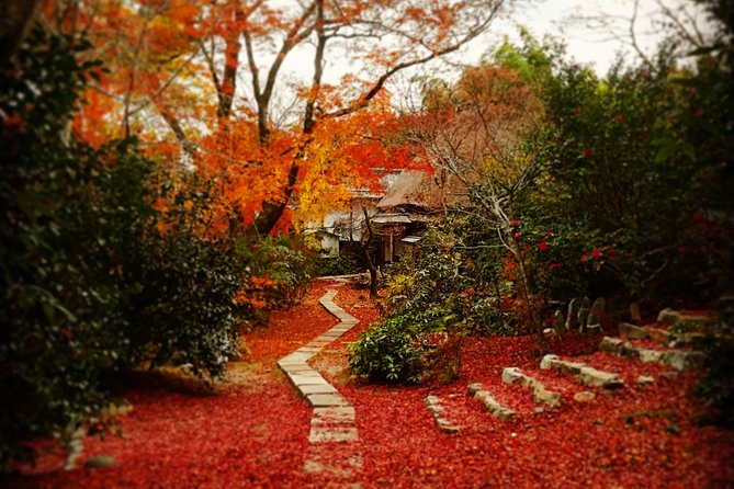 Arashiyama Bamboo Forest & Hidden Gems Bike Tour (Early Bird) - Price, bikes, and the question of value