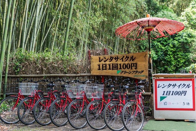 Arashiyama from Kyoto: Private & Personalized with a Local Guide - Choosing four temples from five different moods