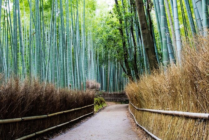 Arashiyama from Kyoto: Private & Personalized with a Local Guide - Monkey Park Iwatayama is the workout stop