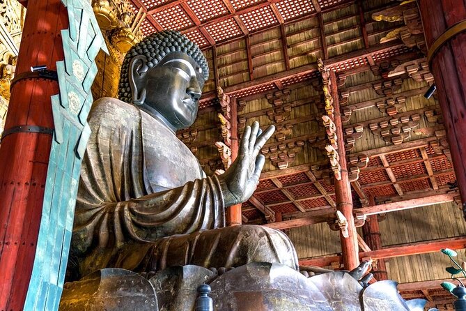 Arashiyama & Nara Highlights: One-Day Private Tour Adventure - One day, two very different sides of Kyoto