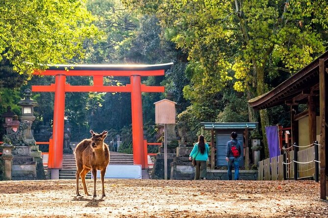 Arashiyama & Nara Highlights: One-Day Private Tour Adventure - Togetsu Bridge and the Hozu River