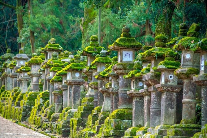 Arashiyama & Nara Highlights: One-Day Private Tour Adventure - The drive from Arashiyama to Nara