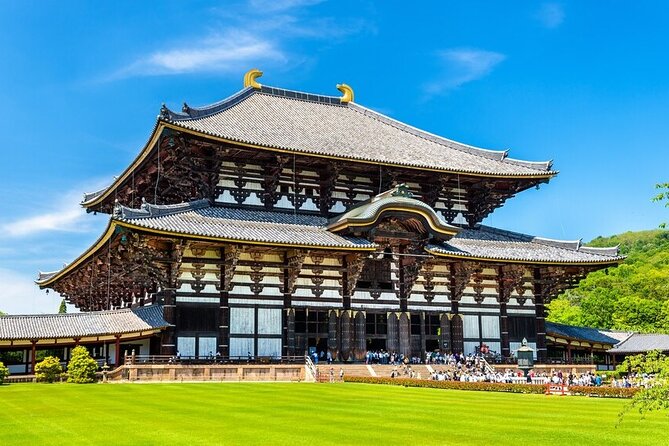 Arashiyama & Nara Highlights: One-Day Private Tour Adventure - Nara Park and its free-roaming deer