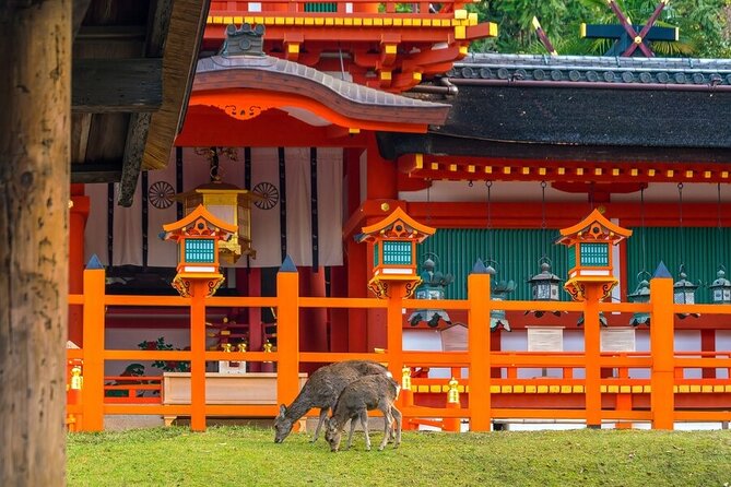 Arashiyama & Nara Highlights: One-Day Private Tour Adventure - Kasuga Shrine and its lanterns