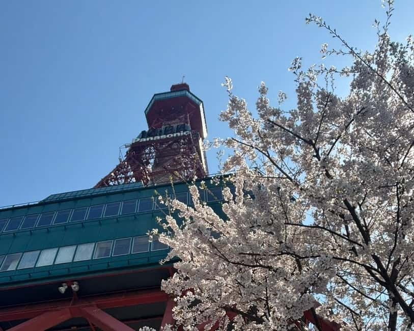 Authentic Sapporo: Nijo Market Seafood Lunch & History Tour - Walking, timing, and who should skip it
