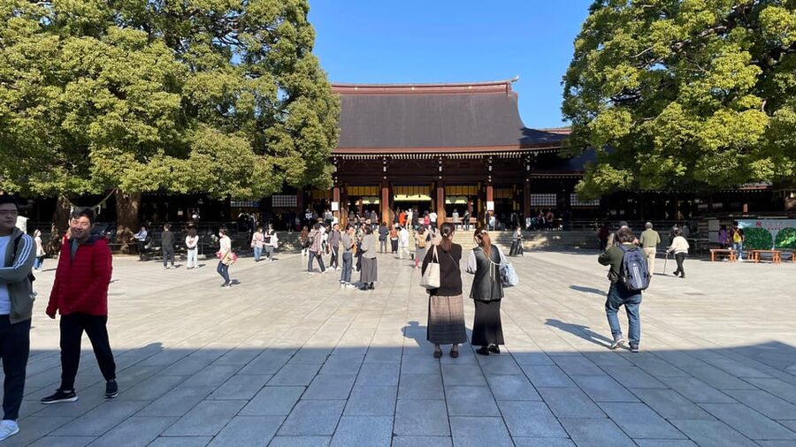 Awesome Private Tour: Tsukiji, Asakusa, Shinjuku, Shibuya - Yanaka, Nakano, Kichijoji, Harajuku, and other alternatives