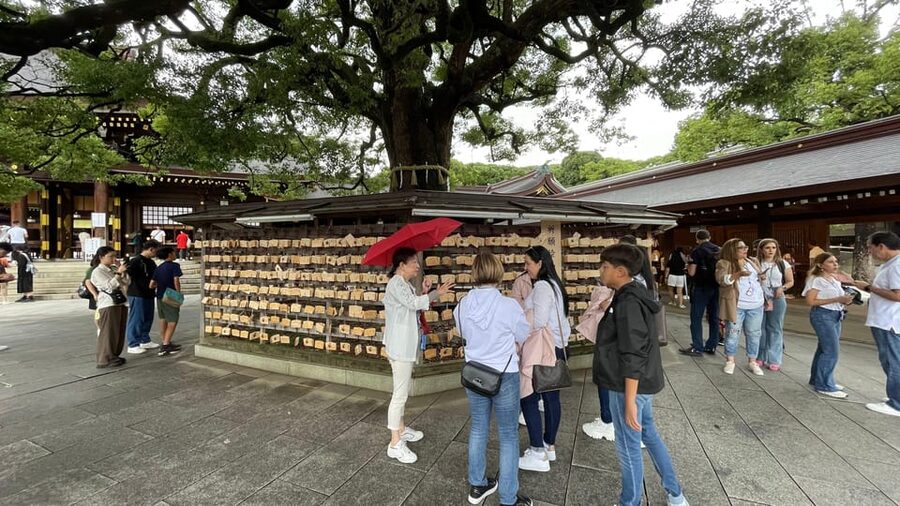 Awesome Private Tour: Tsukiji, Asakusa, Shinjuku, Shibuya - Akihabara and Ueno for pop culture and older Tokyo