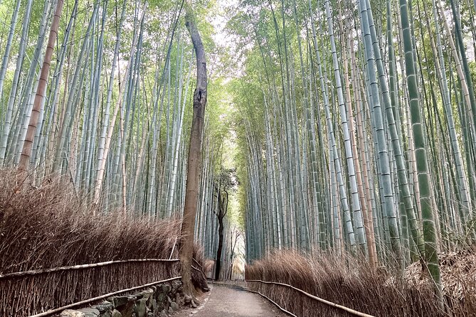 Bamboo Grove Temple and Garden Views Tour - Iwatayama Monkey Park and its uphill trail