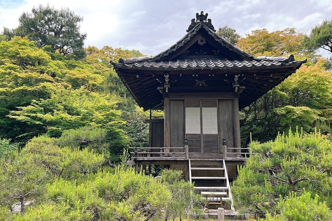 Bamboo Grove Temple and Garden Views Tour - Walking the Arashiyama Bamboo Forest