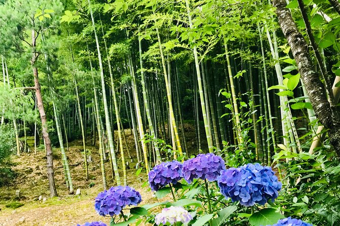 Bamboo LED Lantern Making Experience in Kyoto Arashiyama - Cutting, drilling, and designing your lantern