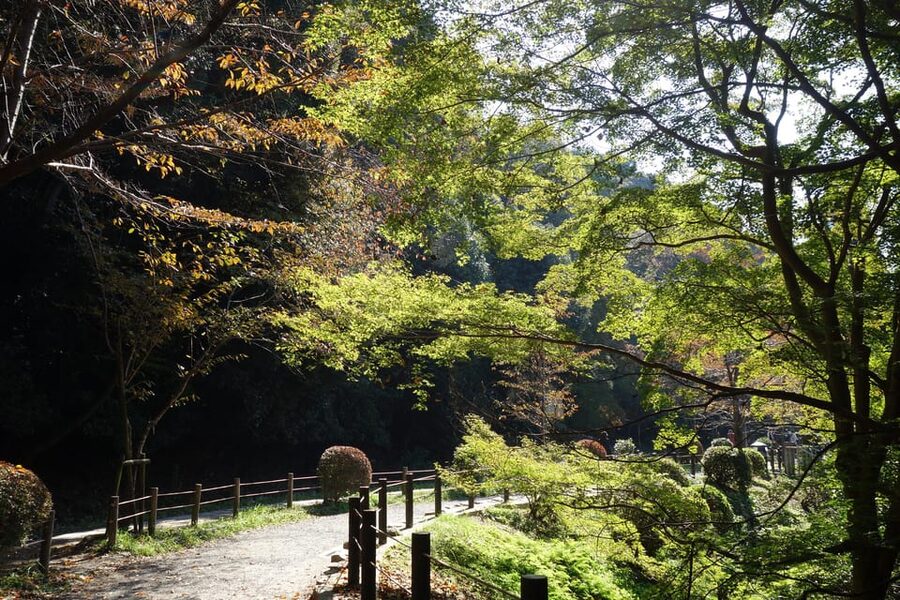 Best of Kyoto: Ginkakuji & Path of Philosophy E-Bike Tour - The Philosopher’s Path, a scenic but brief ride